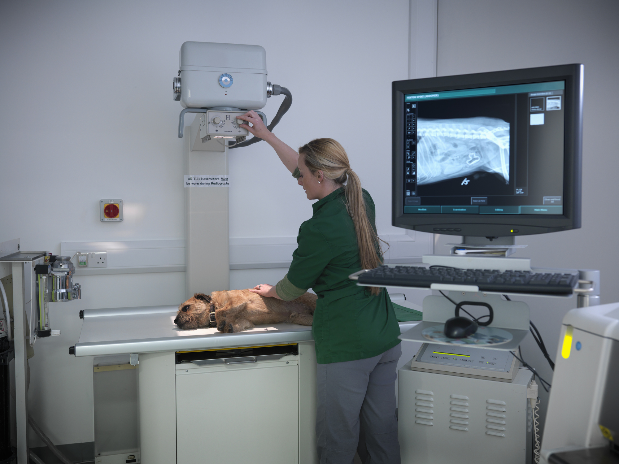 Best Veterinary Technician Programs