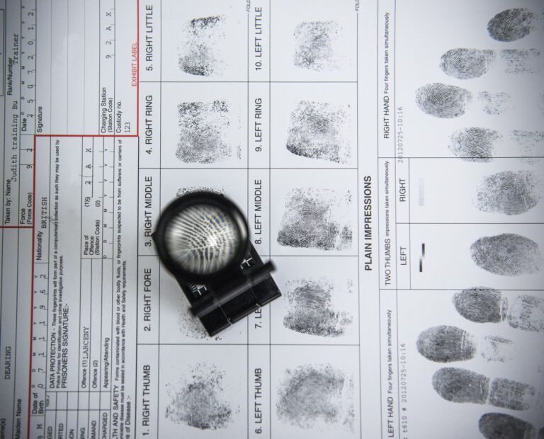 Doctorate in Forensic Psychology Program Guide